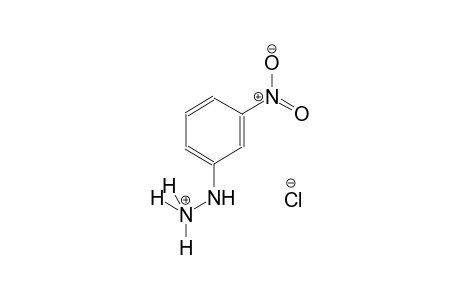 (m-nitrophenyl)hydrazine, hydrochloride