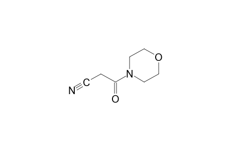 4-(Cyanoacetyl)morpholine