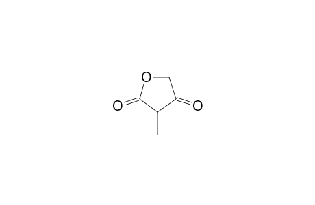 2,4(3H,5H)-Furandione, 3-methyl-