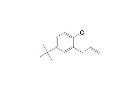 2-Allyl-4-tert-butyl-phenol