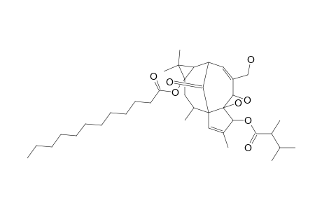 3-O-(2,3-DIMETHYLBUTYRYL)-13-O-DODECANOYL-13-HYDROXY-INGENOL