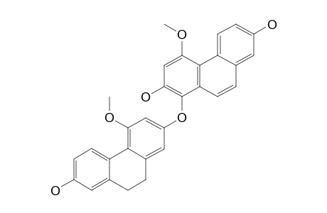 BLESTRIN C