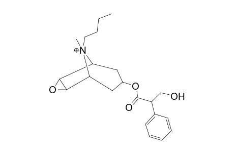 Butylscopolamine MS2