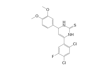 4-(3,4-dimethoxyphenyl)-6-(2,4-dichloro-5-fluorophenyl)-3,4-dihydropyrimidin-2(1H)-thione