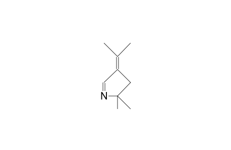 5,5-DIMETHYL-2-ISOPROPYLIDENE-1-PYRROLINE