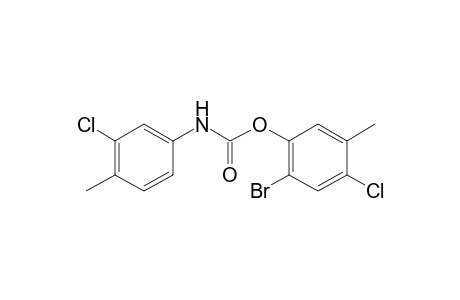 3-chloro-4-methylcarbanilic acid, 6-bromo-4-chloro-m-tolyl ester