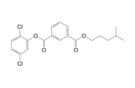 Isophthalic acid, 2,5-dichlorophenyl isohexyl ester