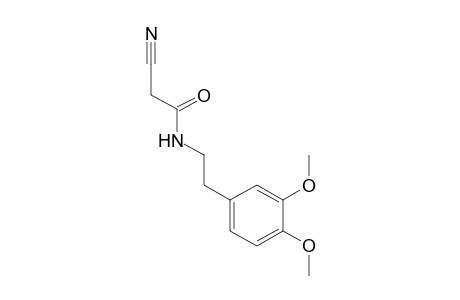 2-cyano-N-(3,4-dimethoxyphenethyl)acetamide