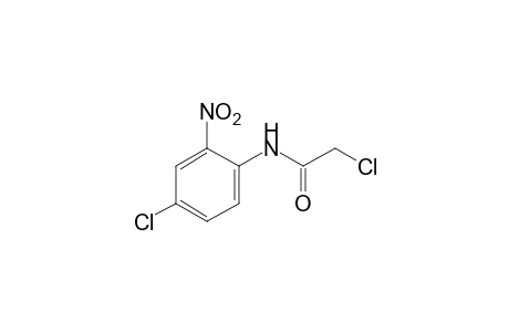 2,4'-dichloro-2'-nitroacetanilide