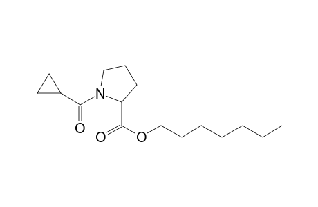 L-Proline, N-(cyclopropylcarbonyl)-, heptyl ester