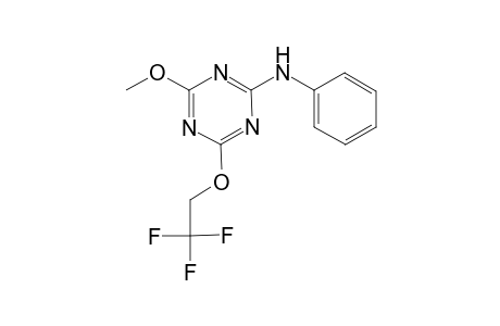 1,3,5-Triazin-2-amine, 4-(2,2,2-trifluoroethoxy)-6-methoxy-N-phenyl-