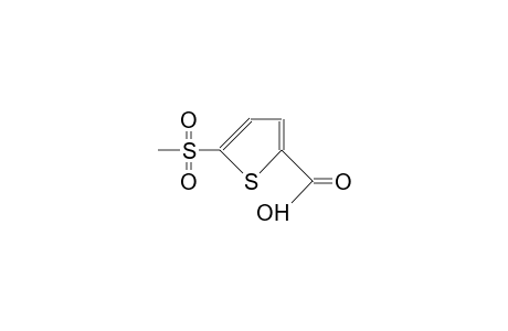 5-Methylsulfonyl-thiophene-2-carboxylic acid