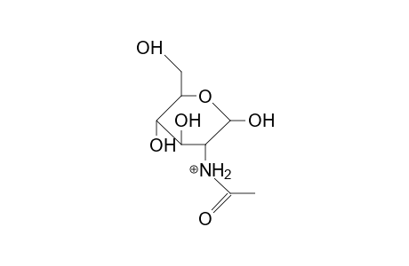 2-Acetamido-2-deoxy-glucopyranose isom.A cation