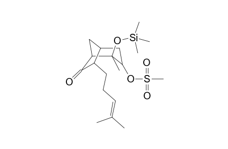 Bicyclo[3.2.1]octan-6-one, 4-methyl-7-(4-methyl-3-pentenyl)-3-[(methylsulfonyl)oxy]-4-[(trimethy lsilyl)oxy]-, (exo,exo,exo)-(.+-.)-