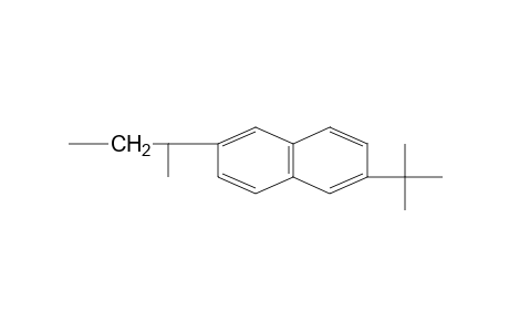 Poly(2-tert-butyl-6-vinylnaphthalene)