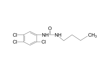 1-butyl-3-(2,4,5-trichlorophenyl)urea