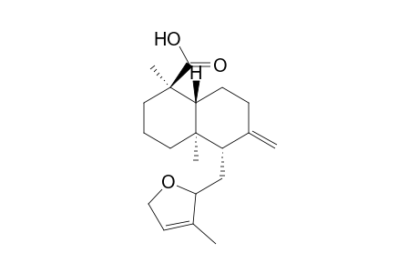 12,15-Epoxy-8(17),13-labdadien-18-oic acid