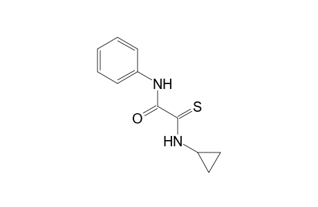 Acetamide, 2-cyclopropylamino-2-thioxo-N-phenyl-