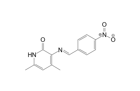 4,6-Dimethyl-2(1H)pyridone, 3-(4-nitrophenylmethylenamino)-