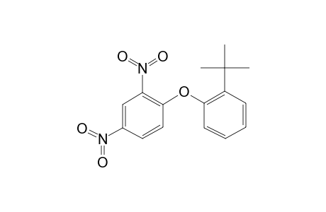 Benzene, 1-[2-(1,1-dimethylethyl)phenoxy]-2,4-dinitro-