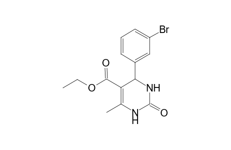 4-(m-bromophenyl)-6-methyl-2-oxo-1,2,3,4-tetrahydro-5-pyrimidinecarboxylic acid, ethyl ester