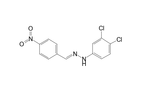 Benzaldehyde, 4-nitro-, 3,4-dichlorophenylhydrazone