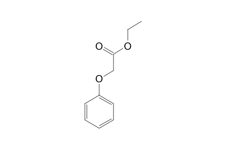 Phenoxyacetic acid, ethyl ester