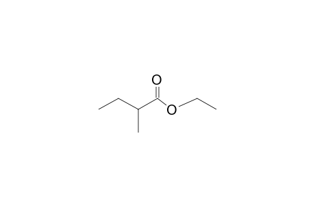 Ethyl 2-methylbutyrate