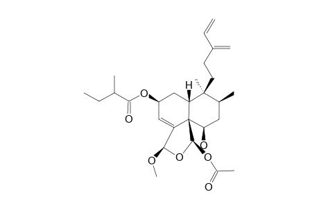 CASEAMEMBrIN-B;REL-(2S,5R,6R,8S,9S,10R,18S,19R)-19-ACETOXY-18,19-EPOXY-6-HYDROXY-18-METHOXY-2-(2-METHYLBUTANOYLOXY)-ClERODA-3,13-(16),14-TRIENE