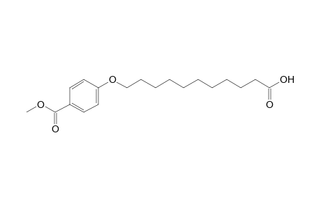 11-(p-carboxyphenoxy)undecanoic acid, p-methyl ester