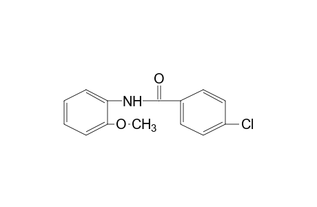 4-chloro-o-benzanisidide