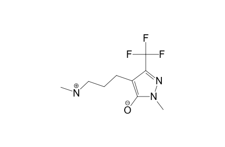 5-HYDROXY-1-METHYL-4-(3-METHYLAMINOPROPYL)-3-TRIFLUOROMETHYLPYRAZOLE