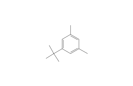 5-tert-Butyl-m-xylene