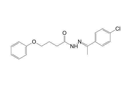 4-phenoxybutyric acid, (p-chloro-alpha-methylbenzylidene)hydrazide