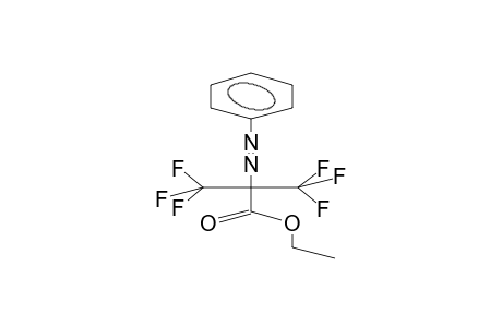 2-PHENYLAZO-PERFLUOROISOBUTYRIC ACID, ETHYL ESTER