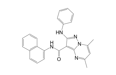 (5,7-Dimethyl-N-(naphthalen-1-yl)-2-(phenylamino)pyrazolo[1,5-a]pyrimidine-3-carboxamide)