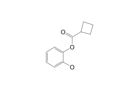 1,2-Benzenediol, o-(cyclobutanecarbonyl)-