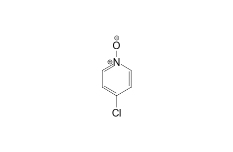 4-Chloro-pyridine 1-oxide