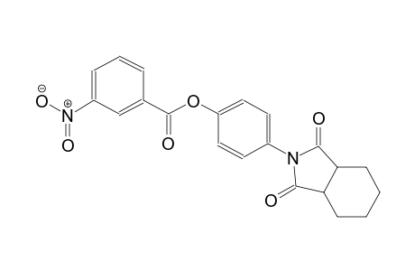 4-(1,3-dioxooctahydro-2H-isoindol-2-yl)phenyl 3-nitrobenzoate