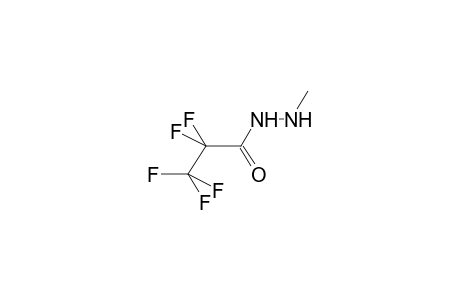 N-Perfluoropropanoyl-N'-methylhydrazine