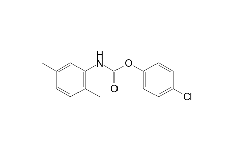 2,5-dimethylcarbanilic acid, p-chlorophenyl ester