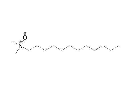 N,N-Dimethyldodecylamine N-oxide