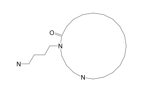 1,5-Diazacycloeicosan-6-one, 5-(4-aminobutyl)-