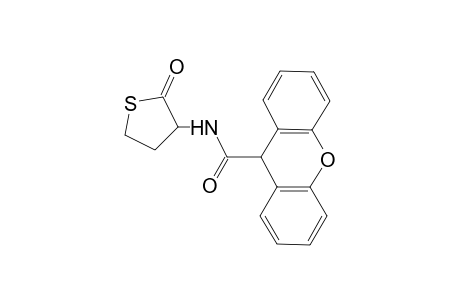 N-(2-oxotetrahydro-3-thienyl)-9H-xanthene-9-carboxamide