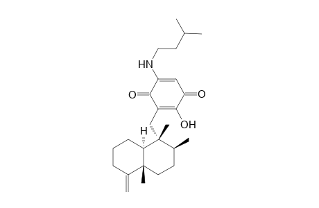 Smenospongiarine