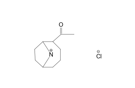 9-AZABICYCLO[4.2.1]NONANE METHYL KETONE, HYDROCHLORIDE