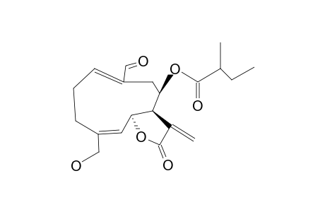 ACANTHOSPERMOLIDE,15-HYDROXY-8-B-METHYLBUTYRYLOXY-14-OXO