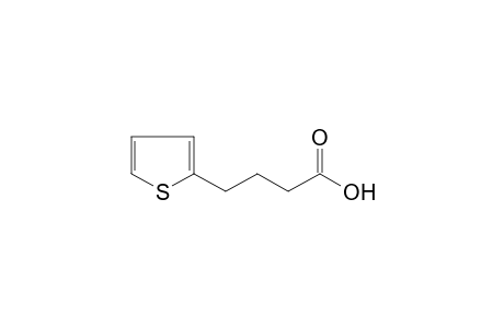 2-Thiophenebutyric acid