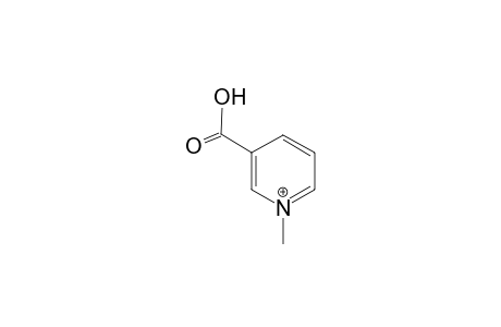 Trigonelline