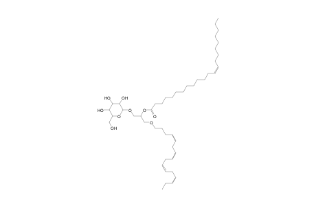 MGDG O-16:4_22:1